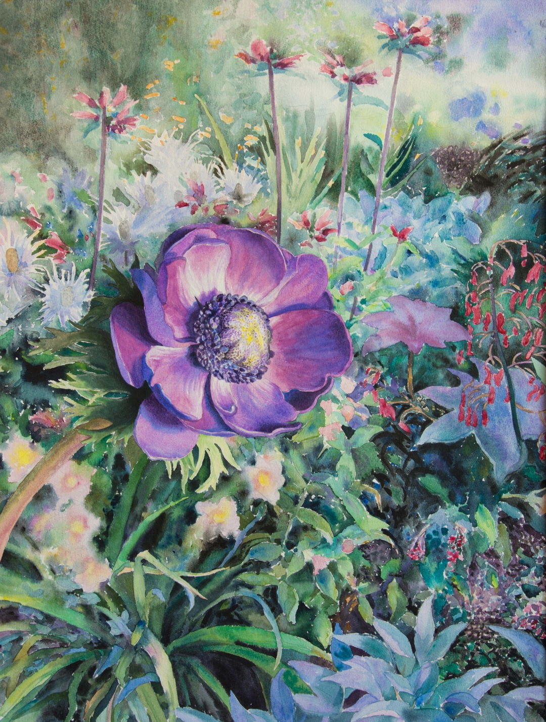 Anemone, Watercolor, 28" x 21", Price upon request