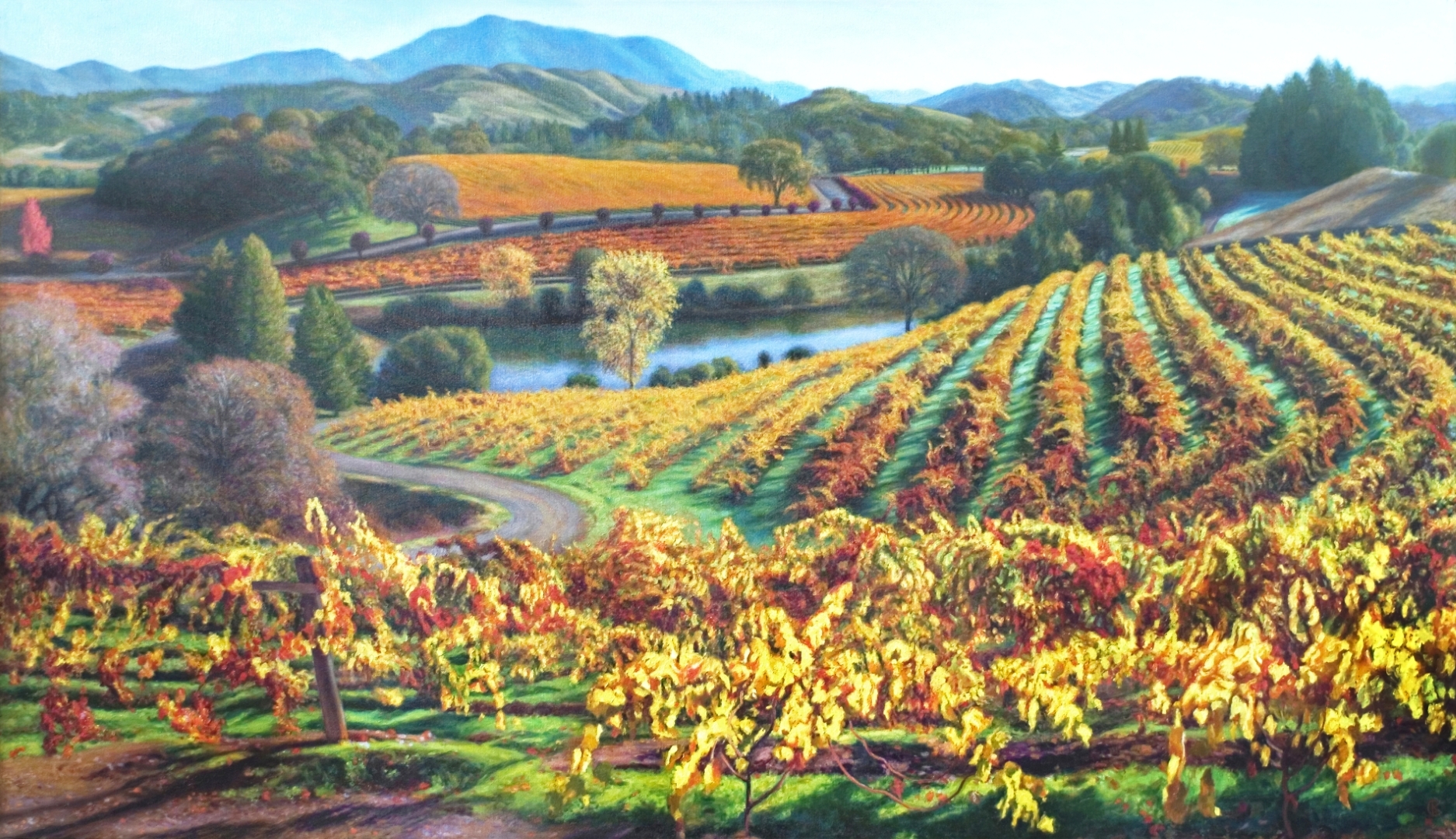 Chalk Hill Vineyard, Oil, 28" x 50", Sold