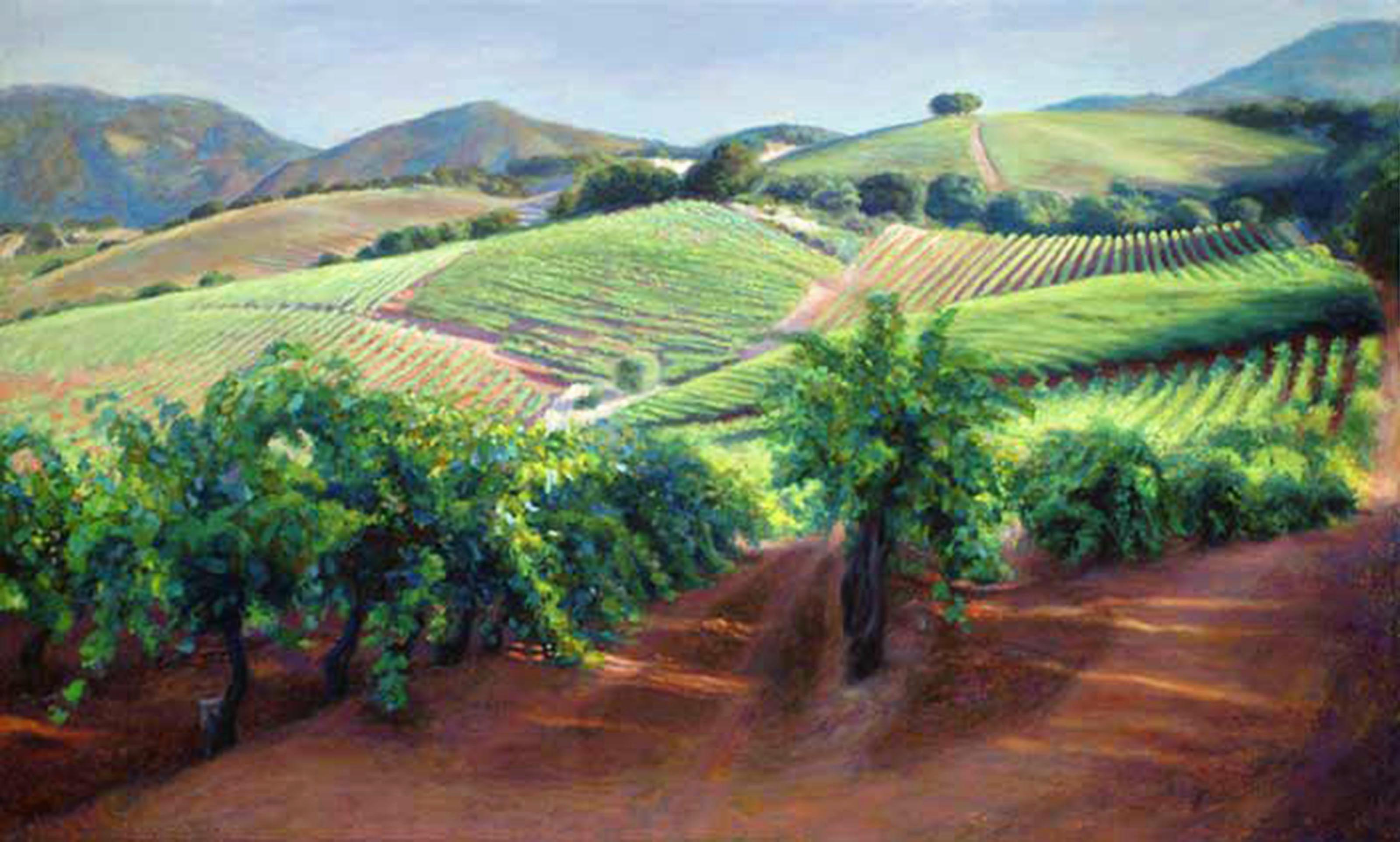 Morning Vineyard, Oil, 30" x 50", Sold