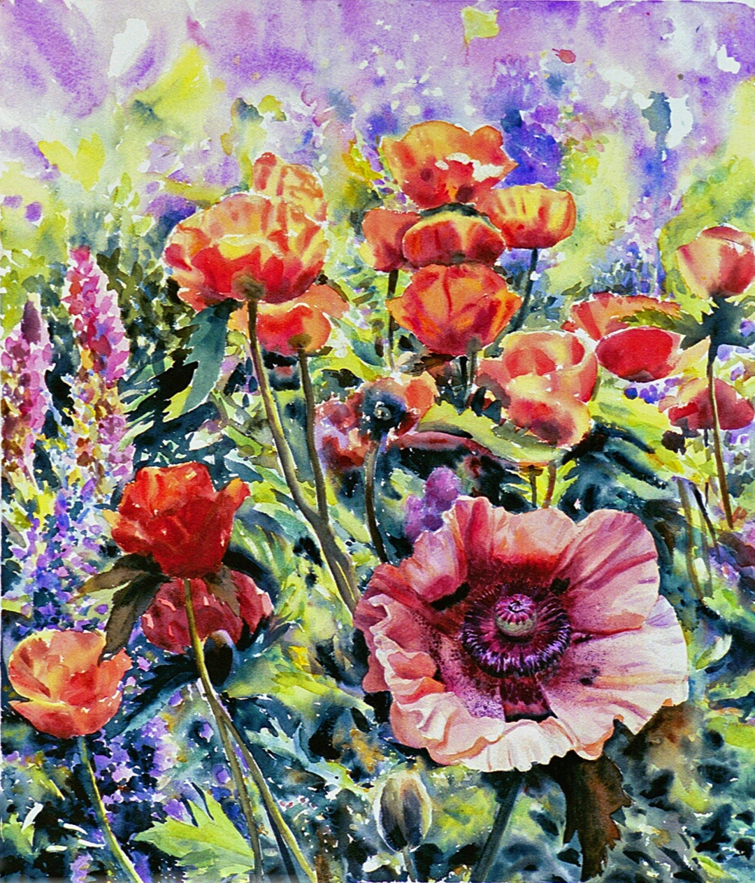 Poppies, Watercolor, 24" x 21", Price upon request