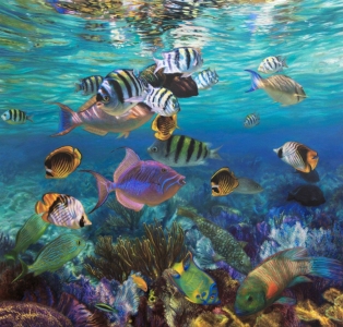 <h5>Reef Fish</h5>